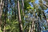 2678 Drift Creek - Photo 13