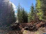 0 Boiler Creek - Photo 10