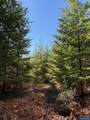 0 Boiler Creek - Photo 11