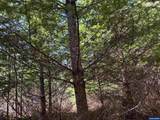 0 Boiler Creek - Photo 13