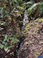 0 Boiler Creek - Photo 16