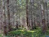 0 Boiler Creek - Photo 18