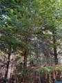 0 Boiler Creek - Photo 19