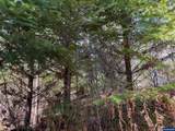 0 Boiler Creek - Photo 20