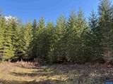 0 Boiler Creek - Photo 22