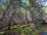 0 Boiler Creek - Photo 24