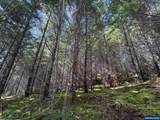 0 Boiler Creek - Photo 26