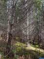0 Boiler Creek - Photo 3