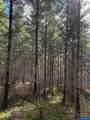 0 Boiler Creek - Photo 4