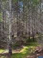 0 Boiler Creek - Photo 7