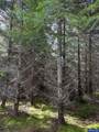 0 Boiler Creek - Photo 8