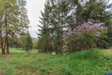 1920 Cochrane Ln - Photo 46