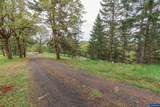 1920 Cochrane Ln - Photo 48