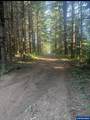 15550 Tickle Creek Rd - Photo 48