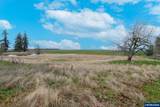 1060 Silver Falls Dr - Photo 40