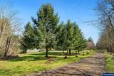 30180 Carrico Valley Rd - Photo 11