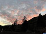9740 Upper Olalla Rd - Photo 39