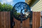 363 2nd St - Photo 31