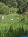 10195 Sweet Creek Rd - Photo 1