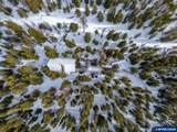77667 Jack Pine Ln - Photo 35