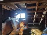 131 Sheldon Av - Photo 14