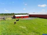 10093 Wiseacre Ln - Photo 13