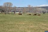 68499 Kunze Ln - Photo 13