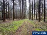 23939 Raze Rd - Photo 41