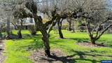 29543 Pheasant Av - Photo 27