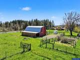 31481 Bellfountain Rd - Photo 39