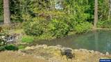 6723 Rippling Brook Dr - Photo 38