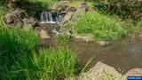 6723 Rippling Brook Dr - Photo 41