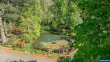 6723 Rippling Brook Dr - Photo 43