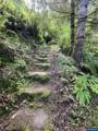 3196 Ten Mile Lake - Photo 8
