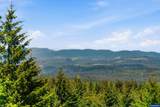23495 Doane Creek Rd - Photo 44