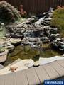 5780 Springwood Av - Photo 6