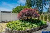 33125 White Oak #23 - Photo 8