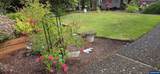 1125 Chestnut St - Photo 5