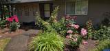 1125 Chestnut St - Photo 6