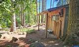 40357 Hilltop Dr - Photo 43