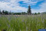 37625 Sunset Ln - Photo 38