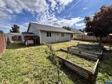 4223 Donalyn St - Photo 24