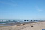 1415 31st Pl - Photo 43