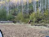 37989 Santiam - Photo 5