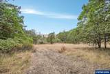 Block 1031 Sheep Head - Photo 8