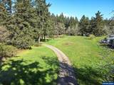 15540 Quall - Photo 7