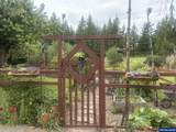 4895 Sunset View Ln - Photo 37
