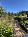 4895 Sunset View Ln - Photo 38