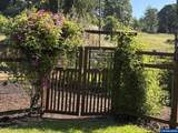 4895 Sunset View Ln - Photo 39