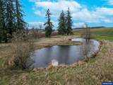 1060 Silver Falls Dr - Photo 43